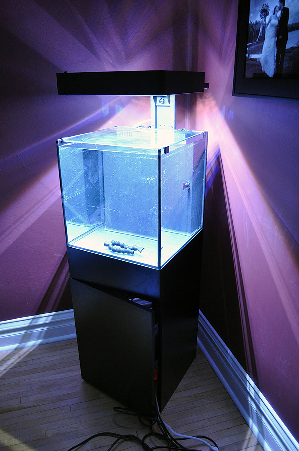 Ecoxotic 18" Cube 25 gallon LED Aquarium System being water tested.