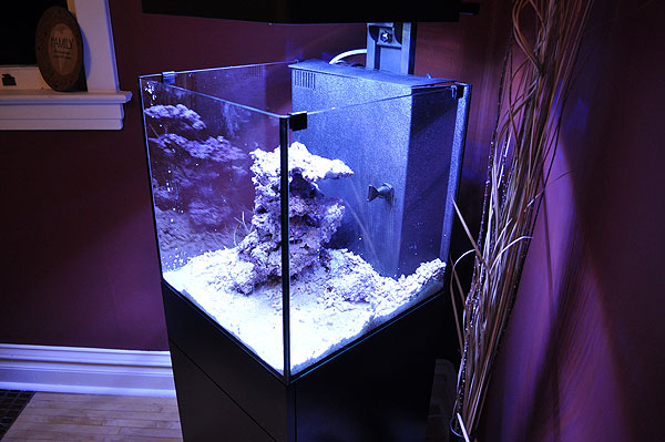 Caribsea Arag-Alive and Two Little Fishies Reborn Reactor Media are added as substrate.