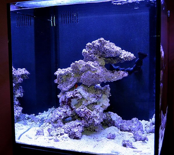 Fully aquascaped and ready to go...