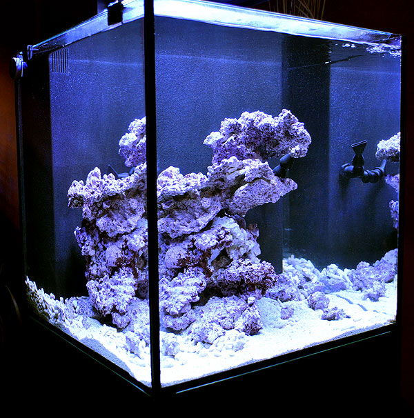 Fully aquascaped and ready to go...