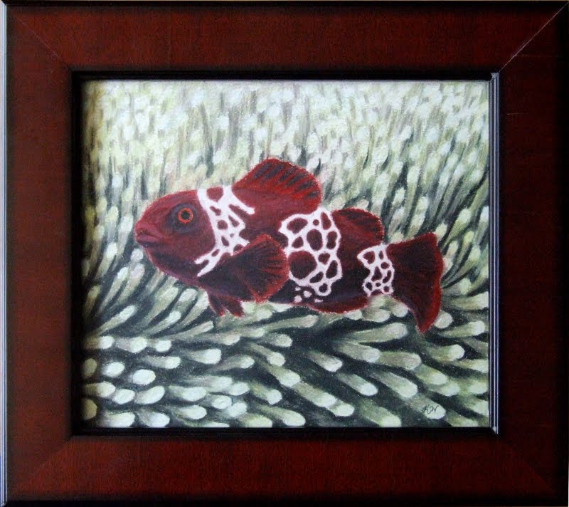 Heather Ward's Maroon Lightning Clownfish, copyright 2011, shared with permission